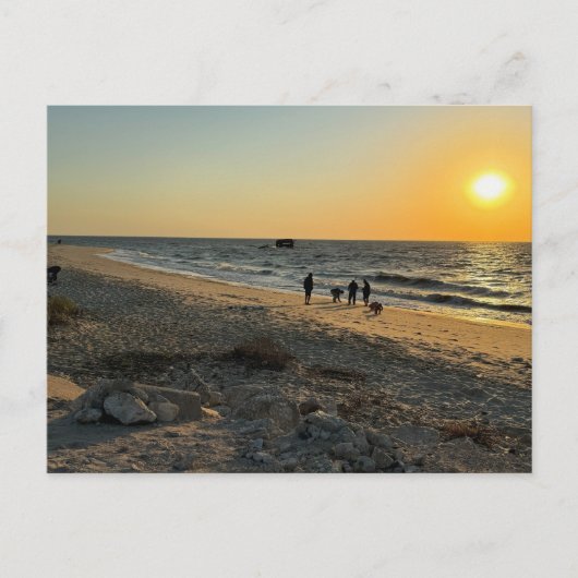 Carte postale Beach Ocean Sunset (Devant)