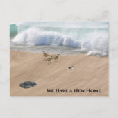 Carte Postale Beach Scene Change of Address (Devant)