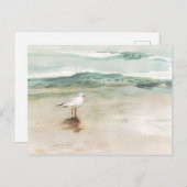 Carte Postale Beach Seagull Cove (Devant / Derrière)