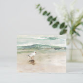 Carte Postale Beach Seagull Cove (Debout devant)