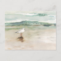 Beach Seagull Cove