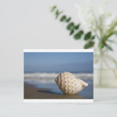 Carte Postale Beach Seashell (Debout devant)
