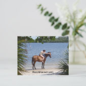 Carte Postale BeachHorses.com (Debout devant)