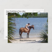 Carte Postale BeachHorses.com (Devant / Derrière)