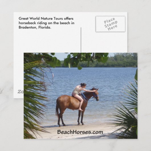 Carte Postale BeachHorses.com (Devant / Derrière)