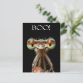 Carte Postale Beady-Eyed Damselfly (Debout devant)