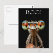 Carte Postale Beady-Eyed Damselfly (Devant / Derrière)
