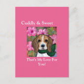 Carte Postale Beagle      (Devant)