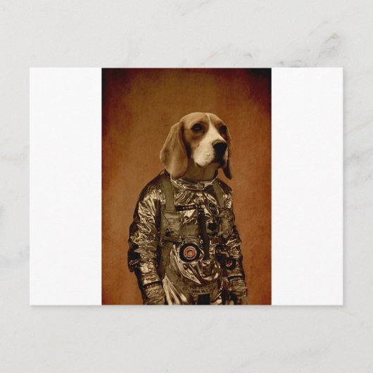 Carte Postale Beagle (Devant)