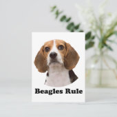 Carte Postale Beagle (Debout devant)
