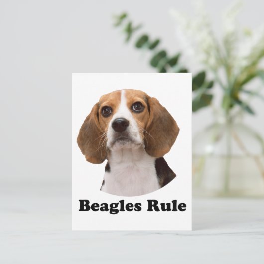 Carte Postale Beagle (Debout devant)