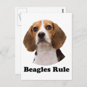 Carte Postale Beagle (Devant / Derrière)