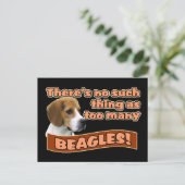 CARTE POSTALE BEAGLE (Debout devant)