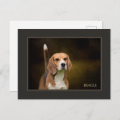 Carte postale beagle (Devant / Derrière)
