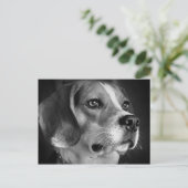 Carte Postale Beagle (Debout devant)