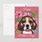 Carte Postale Beagle           (Devant / Derrière)