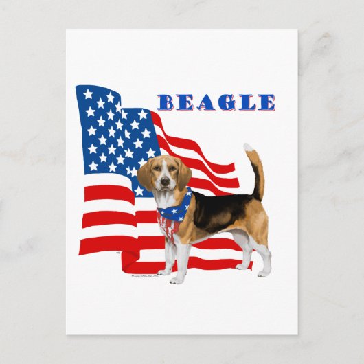 Carte Postale Beagle avec drapeau américain (Devant)