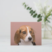 Carte Postale Beagle avec lunettes (Debout devant)
