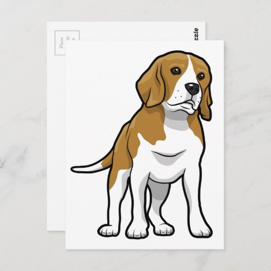 Carte Postale Beagle Brown et blanc (Devant / Derrière)