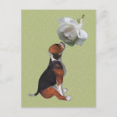 Carte postale beagle Chien blanc rose mignonne (Devant)