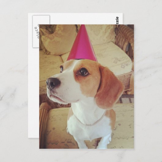 Carte postale Beagle d'anniversaire (Devant / Derrière)