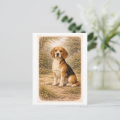 Carte Postale Beagle de style vintage (Debout devant)