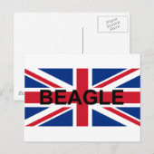 Carte Postale beagle nom england drapeau du Royaume-Uni (Devant / Derrière)