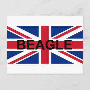 Carte Postale beagle nom england drapeau du Royaume-Uni