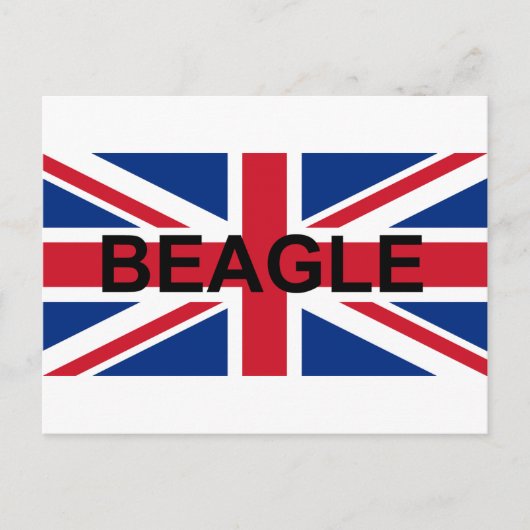 Carte Postale beagle nom england drapeau du Royaume-Uni (Devant)