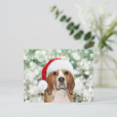 Carte Postale Beagle portant un chapeau de Père Noël (Debout devant)
