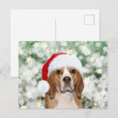 Carte Postale Beagle portant un chapeau de Père Noël (Devant / Derrière)