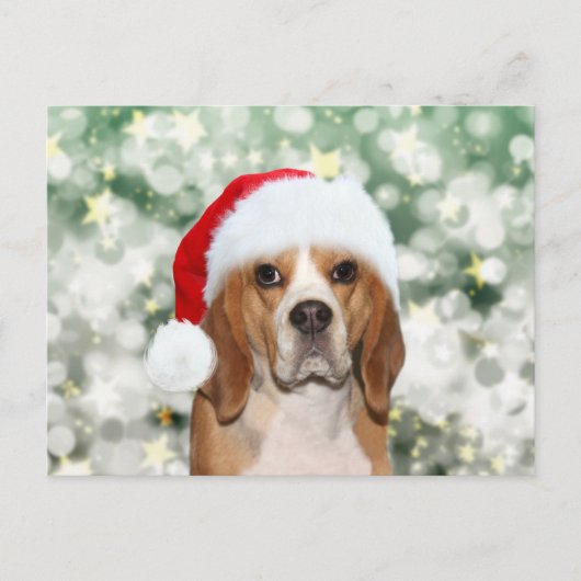 Carte Postale Beagle portant un chapeau de Père Noël (Devant)