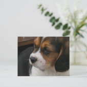 Carte postale beagle Pup (Debout devant)