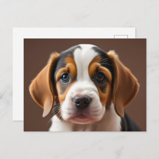Carte Postale Beagle Puppy (Devant / Derrière)
