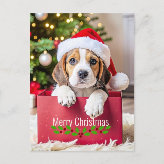 Carte Postale Beagle Puppy Christmas Design, (Devant)