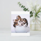 Carte Postale Beagles dans le seau (Debout devant)