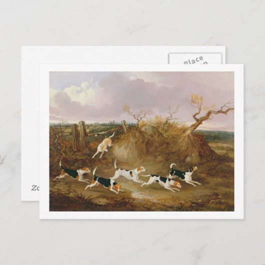Carte Postale Beagles en Plein Cry, 1845 (huile sur toile) (Devant / Derrière)