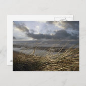 carte postale beale reeds (Devant / Derrière)