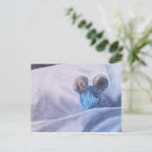 Carte Postale Beanie's Bedtime (carte postale) (Debout devant)