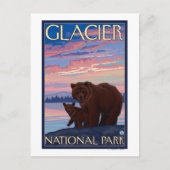 Carte Postale Bear and Cub - Parc national des Glaciers, MT (Devant)