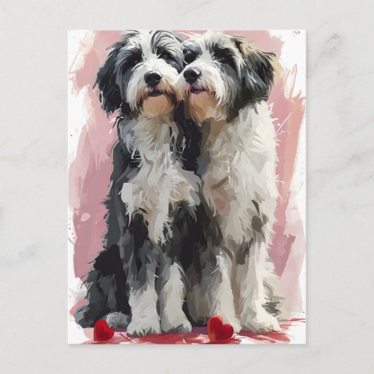 Carte Postale Bearded Collie Valentine's day (Devant)
