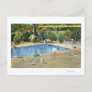 Carte Postale Beardsley Park Vue sur les oiseaux aquatiques