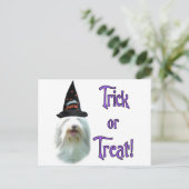 Carte Postale Beared Collie Trick (Debout devant)