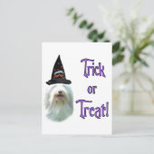 Carte Postale Beared Collie Trick (Debout devant)
