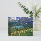 Carte Postale Beargrass au-dessus du lac Grinnell dans le (Debout devant)
