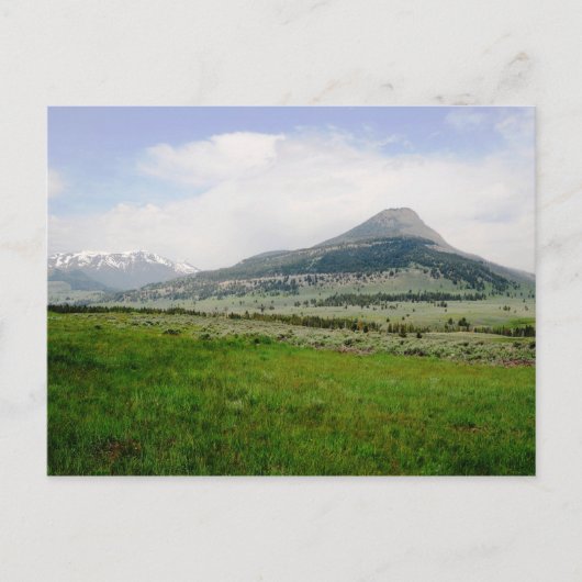 Carte Postale Beartooth Butte (Devant)