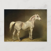 Carte Postale Béatrice (Devant)