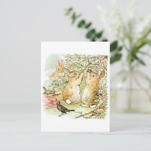 Carte Postale Beatrix Potter, Bunnies, Raspberry Bush, Oiseaux (Debout devant)