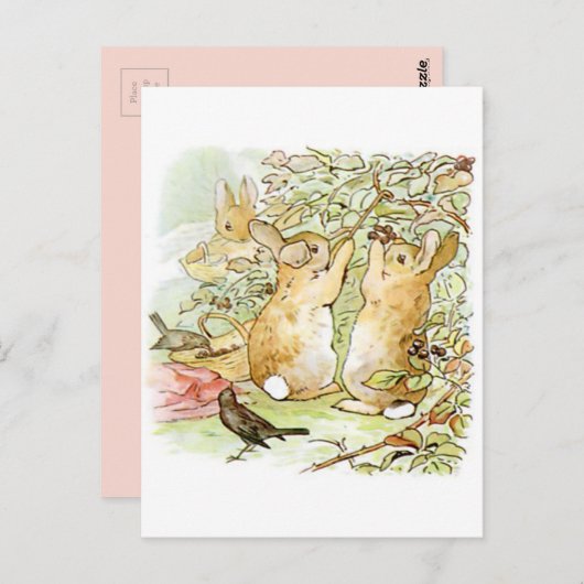 Carte Postale Beatrix Potter, Bunnies, Raspberry Bush, Oiseaux (Devant / Derrière)