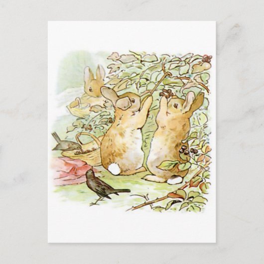 Carte Postale Beatrix Potter, Bunnies, Raspberry Bush, Oiseaux (Devant)
